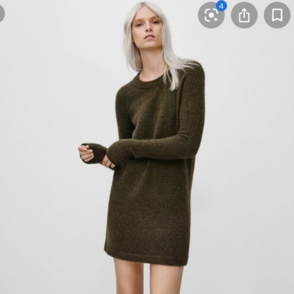 Aritzia Wilfred Free Carangi dress